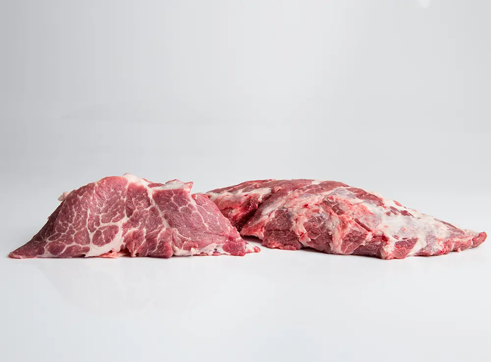 presa-iberica-detalle_1